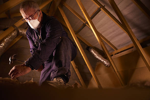 Best DIY Insulation Kits and Guidance in Fowler, CO